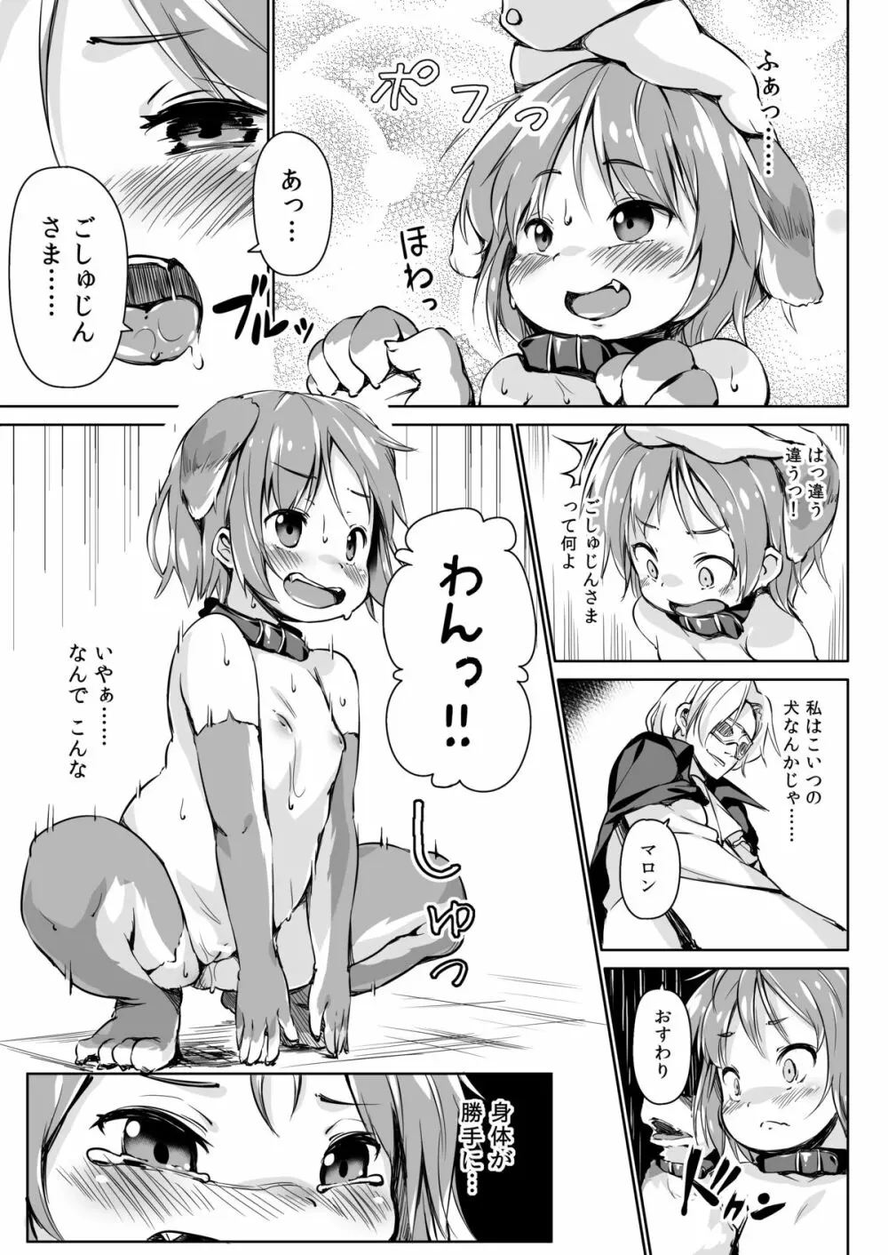 ペットライフあふたーふゅーじょん 12ページ