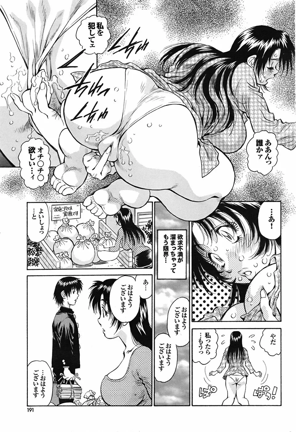 COMIC プルメロ 2009年03月号 vol.27 190ページ