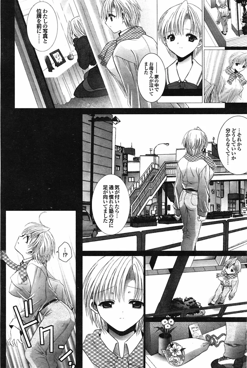 COMIC プルメロ 2009年03月号 vol.27 82ページ