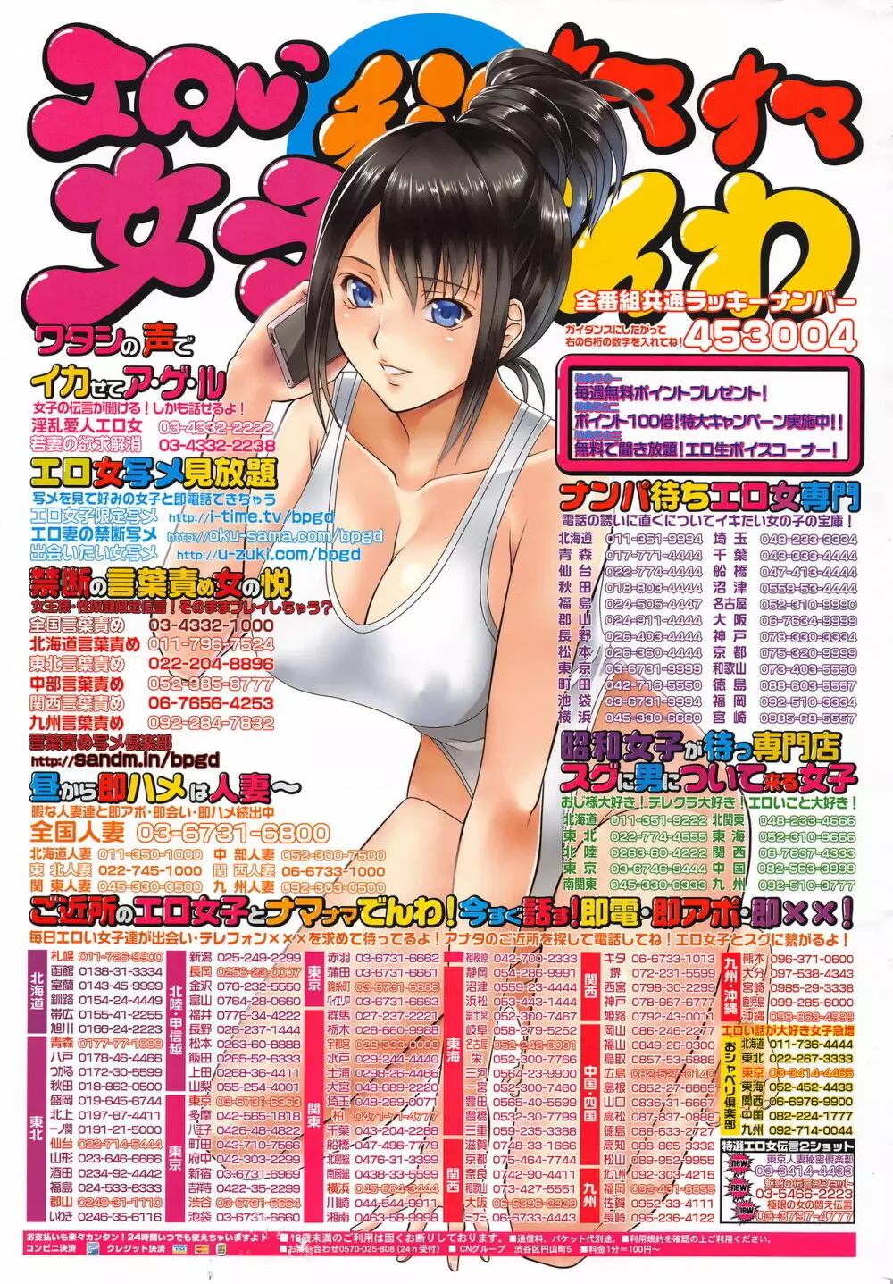 月刊 ビタマン 2016年6月号 252ページ