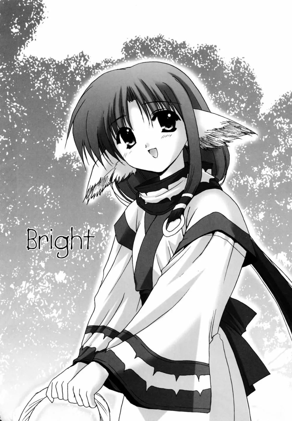 Bright 5ページ