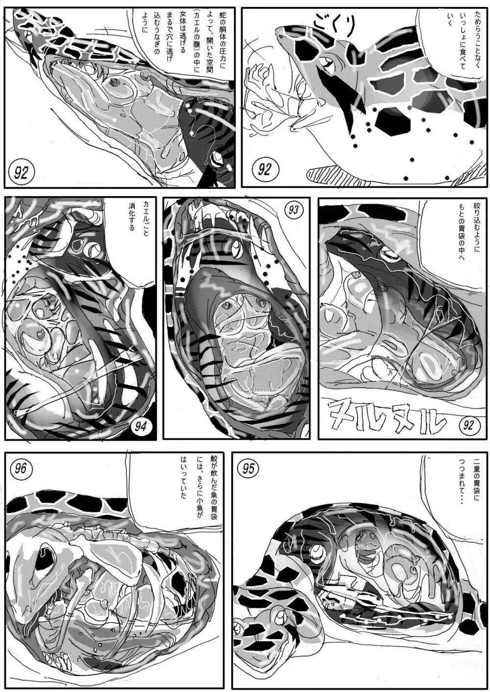 カエル丸呑み 14ページ