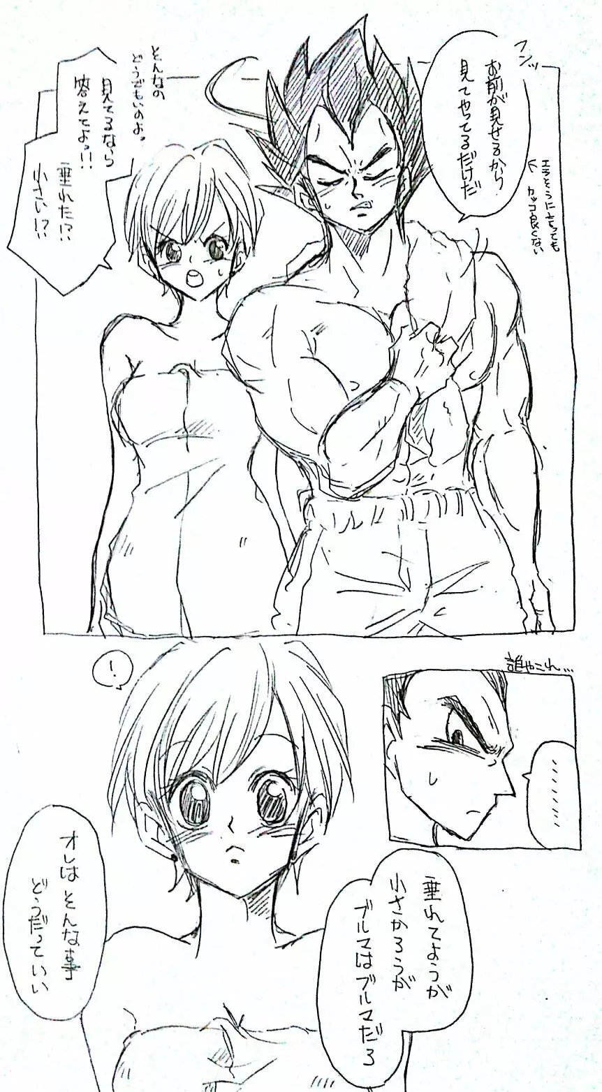 ベジブル落書き漫画もどき 9ページ