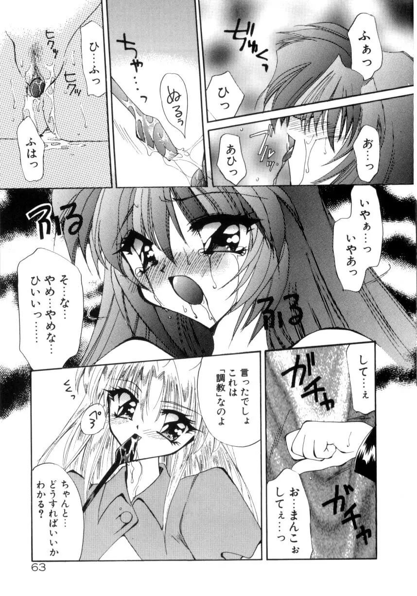 眠りつづけるお姫様 65ページ