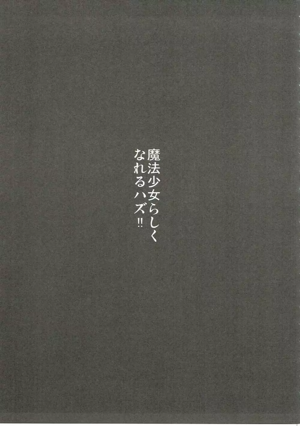 もちかえりイリヤスフィール 10ページ