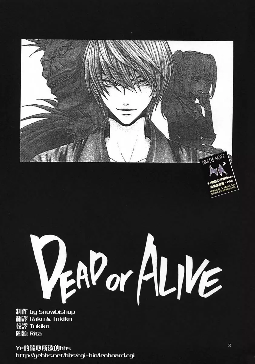 Dead or Alive 2ページ